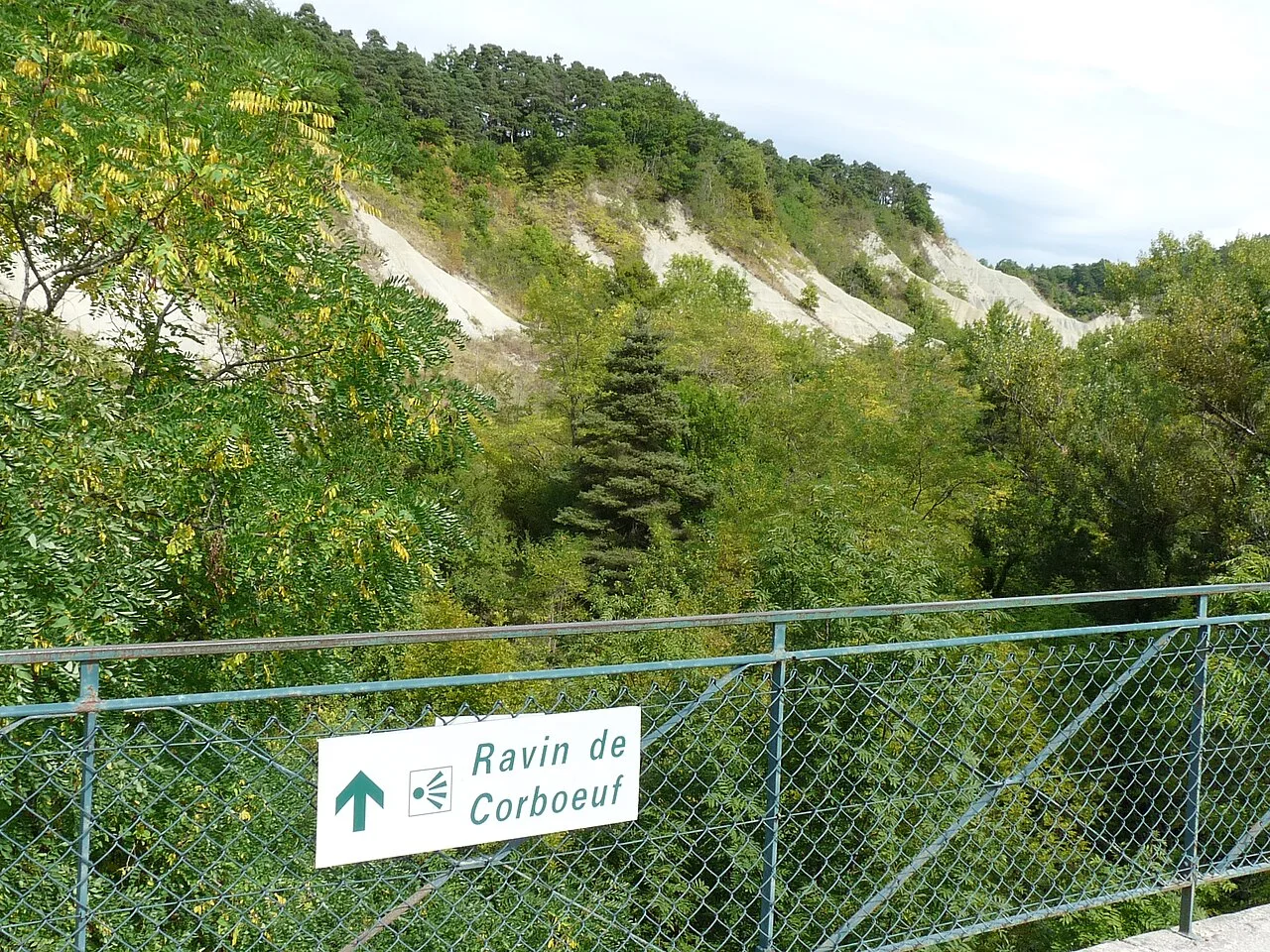 Argiles et crêtes du ravin de Corboeuf, vues depuis la Galoche